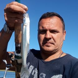  A 45 minutos del obelisco porteño y muy cerca de la autopista Ezeiza –Cañuelas, a la altura de Máximo Paz, un pesquero para los fanáticos del pejerrey a tener muy en cuenta.