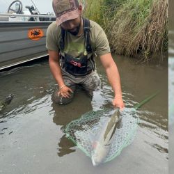 El río Maullín es la única desembocadura del Llanquihue al mar, la cual no sólo cumple una función indispensable como desagüe natural, sino que además nos entrega una enorme riqueza en la flora y fauna.