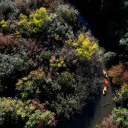 Vista aérea de personas remando en kayak por el río Yi, rodeado de un bosque natural con los colores del otoño, cerca de Capilla del Sauce, a unos 185 km al norte de Montevideo, Uruguay. | Foto:MARIANA SUAREZ / AFP