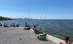 Buena variada en la nueva costanera de Avellaneda