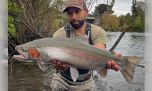 Épico cierre de la temporada de truchas en el río Maullín