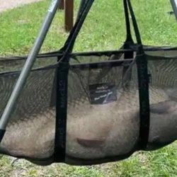 Aunque existen registros no oficiales de carpas comunes de más de 40 kilos, como una presunta captura de 45,5 kg en Meurthe-et-Moselle en 2013, este caso destaca por haber sido homologado y la especie específica, lo que le otorga una relevancia especial en el ámbito de los récords deportivos.
