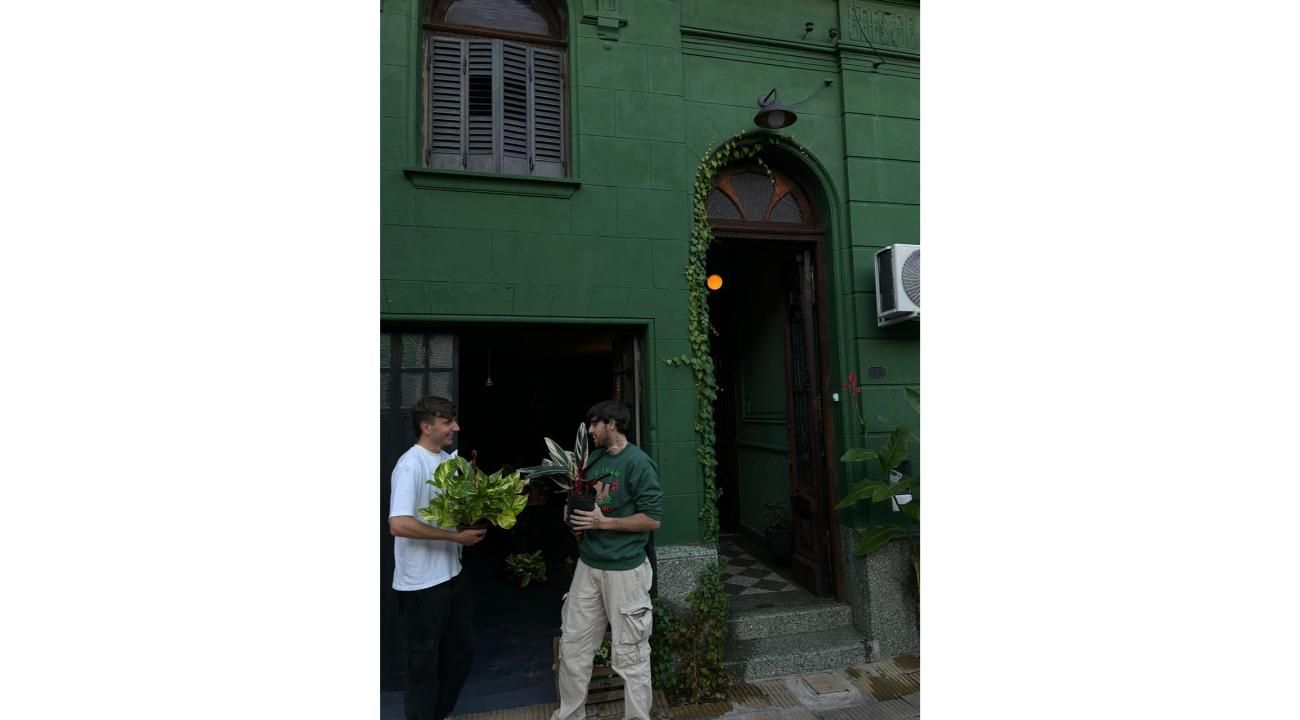 Grounding: un refugio verde para reconectar con el bienestar