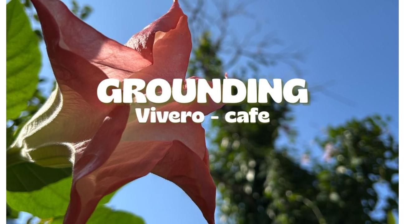 Grounding: un refugio verde para reconectar con el bienestar