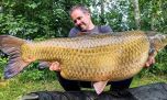 Una increíble carpa bate récords: pescan colosal pez de más de 42 kilos