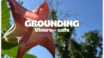 Grounding: un refugio verde para reconectar con el bienestar