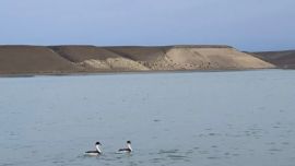 Se trata de un hito histórico.