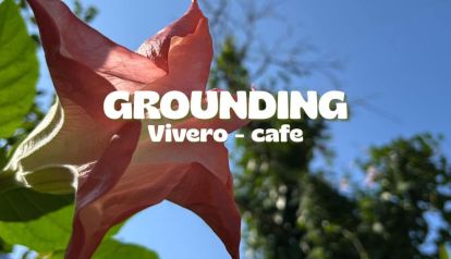 Grounding: un refugio verde para reconectar con el bienestar