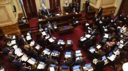 Sesion de ficha limpia en el senado20250507