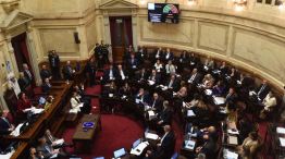 Sesion de ficha limpia en el senado20250507