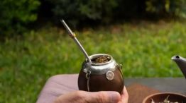 Yerba
