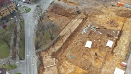 Vista del cementerio de caballos encontrado en Alemania.