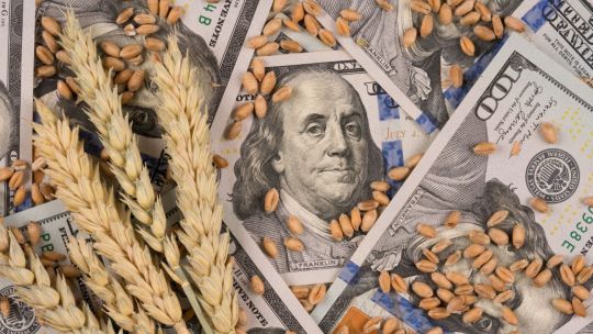 Una empresa cordobesa emitió el primer pagaré en soja y con tasa variable: cómo funciona este nuevo instrumento financiero