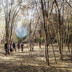 Chiclayo es una ciudad que ofrece una experiencia única para los viajeros que buscan combinar historia, cultura, naturaleza y gastronomía. 
