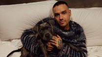Liam Payne