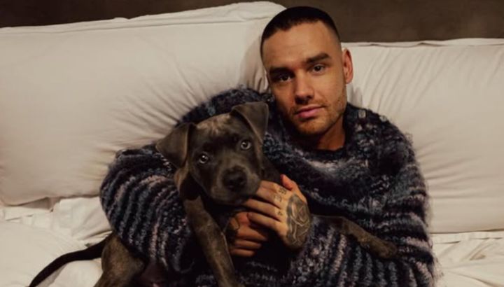 A siete meses de su fallecimiento, revelaron que sucederá con la herencia de Liam Payne