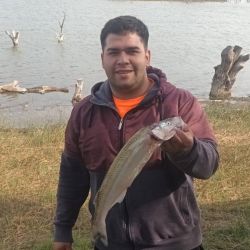 La ausencia de heladas aún en gran parte del país favorece el rendimiento en las lagunas y, especialmente, del pejerrey.