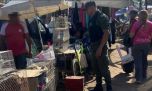Rescatan una gran cantidad de silvestres de la venta ilegal en una feria bonaerense