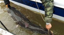 0905_pesca