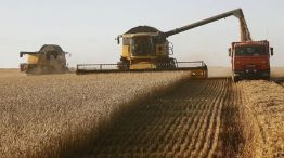 Agro