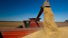 Agro