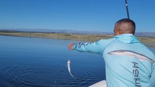 0905_pesca