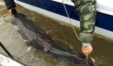 0905_pesca