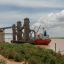China is said seeking Argentina crops as it skirts US tariffs