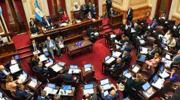 100525_villarruel_senado_na_g