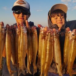 Cuero de Zorro atraviesa un gran momento y está para aprovecharla en todas las modalidades de pesca. 
