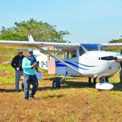 Tucunaré amarelo, la especie que predomina en el Guaporé. Toma muy bien señuelos y moscas, dando una pelea intensa y feroz.