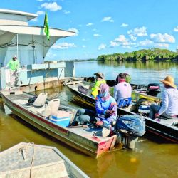 Tucunaré amarelo, la especie que predomina en el Guaporé. Toma muy bien señuelos y moscas, dando una pelea intensa y feroz.