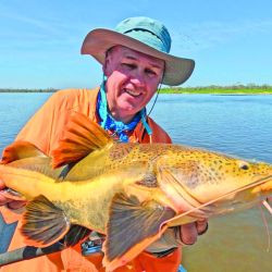 Tucunaré amarelo, la especie que predomina en el Guaporé. Toma muy bien señuelos y moscas, dando una pelea intensa y feroz.