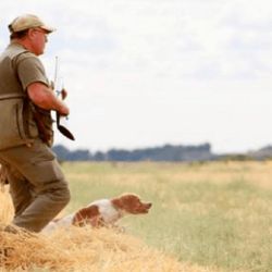 Se autorizó un número menor de especies respecto a 2024