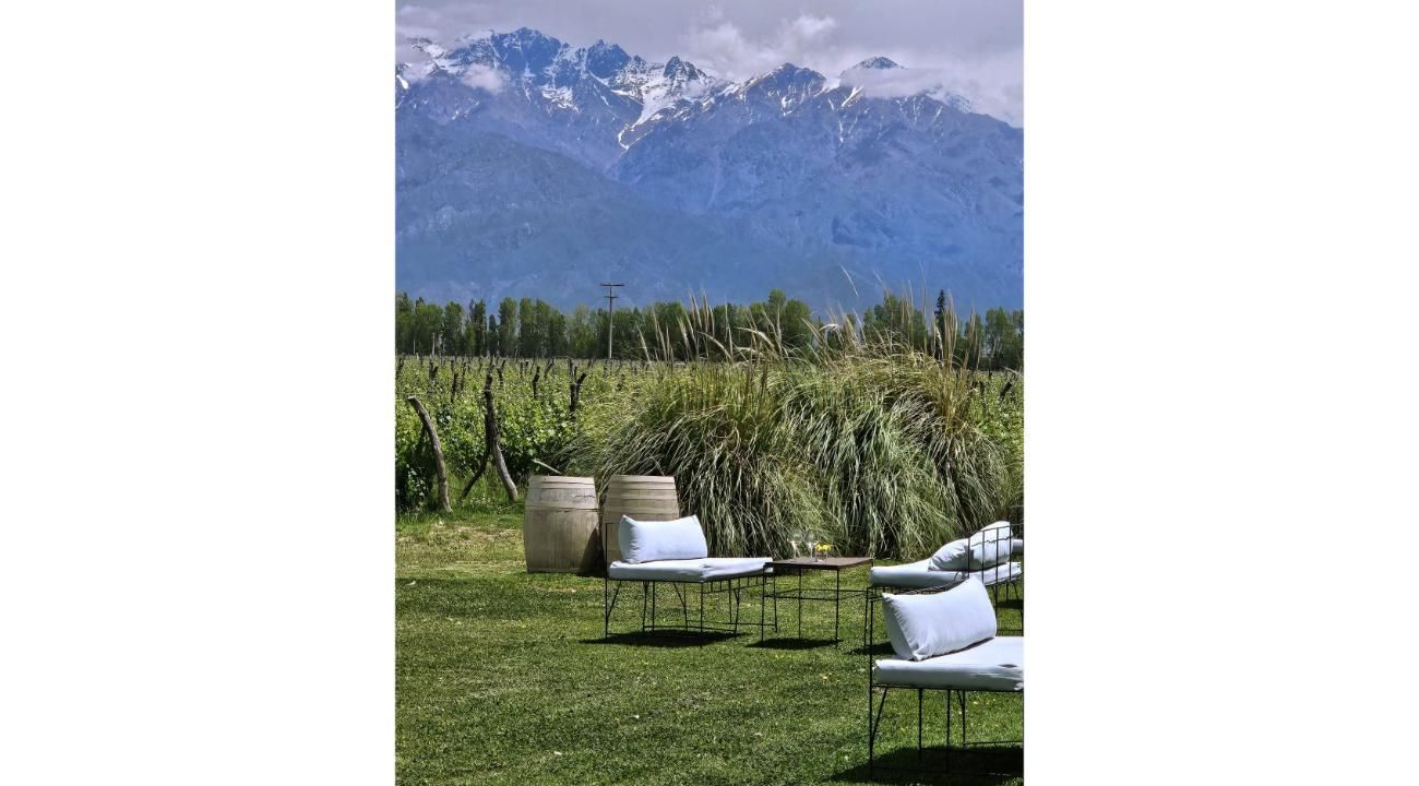 Precios Congelados para recorrer los Caminos del Vino de Mendoza en el Bus Vitivinícola