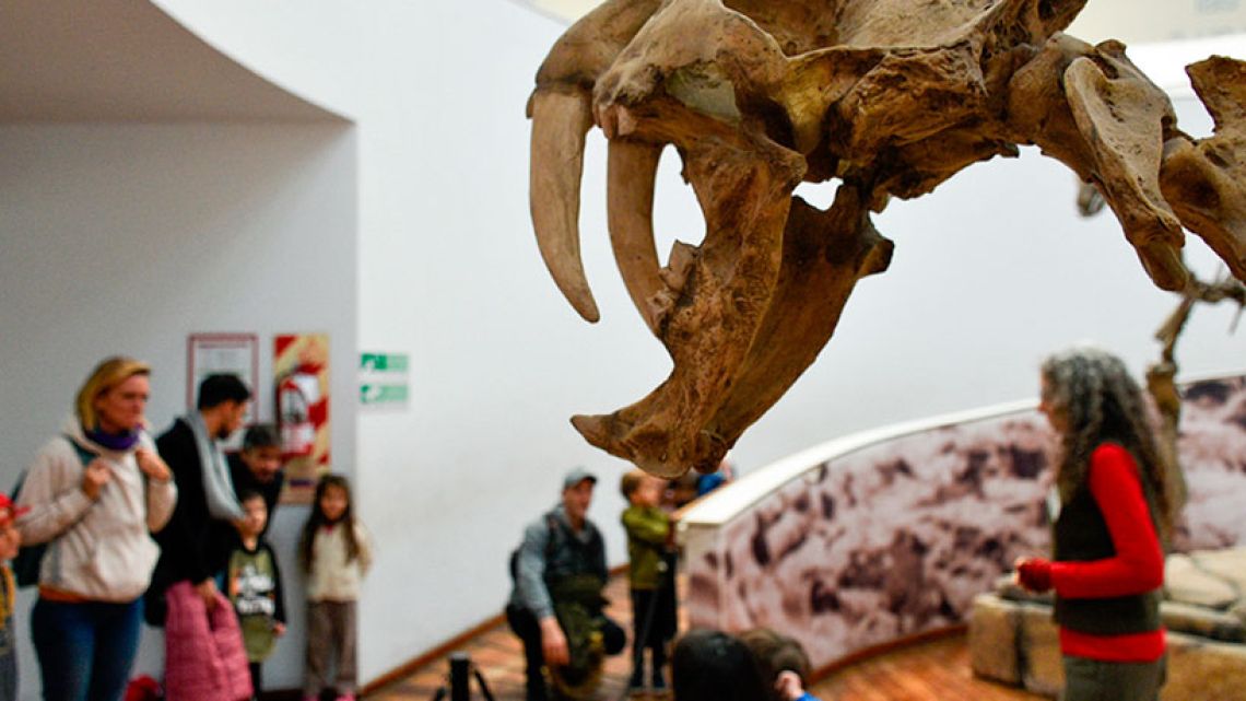 Arte y entretenimiento con entrada libre: las actividades imperdibles de la semana en Córdoba
