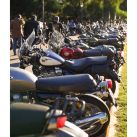 Miles de motos coparon la ciudad con el Distinguished Gentleman's Ride