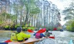 Kayakismo: otoño a puro remo