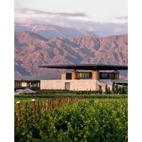 Precios Congelados para recorrer los Caminos del Vino de Mendoza en el Bus Vitivinícola