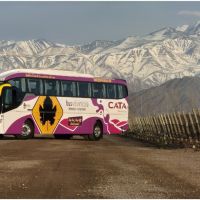 Precios Congelados para recorrer los Caminos del Vino de Mendoza en el Bus Vitivinícola