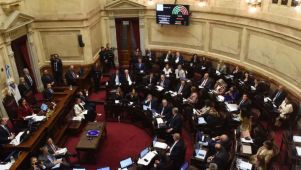 Senado