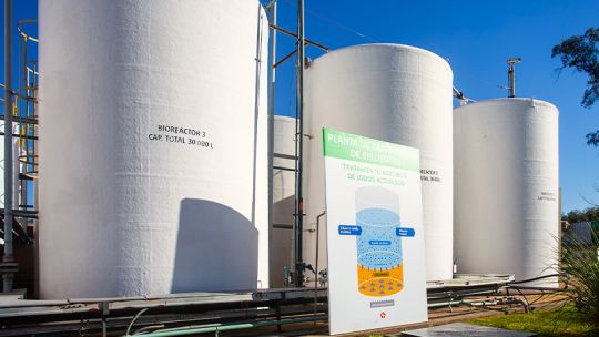 Porta impulsa la economía circular: cero residuos, más valor agregado y expansión internacional al 2025