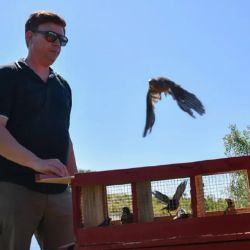  En lo que va del 2025 ya se concretó la liberación de más de 100 animales silvestres.