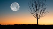 Luna llena en Escorpio y martes 13: una combinación intensa para transformar (o soltar)