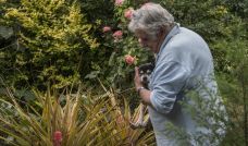 José "Pepe" Mujica