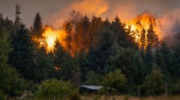 Incendios en la Patagonia