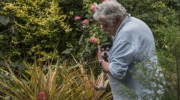 José "Pepe" Mujica