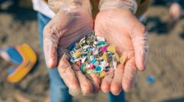 Microplásticos en el líquido folicular13052025