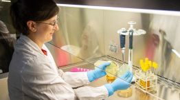 Todos los detalles de la superbacteria que degrada el plástico y es un riesgo para los pacientes hospitalizados.