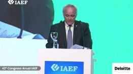 Vladimir Werning, vicepresidente del BCRA en el IAEF 2025.